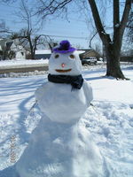 2008_0309Image0004.JPG